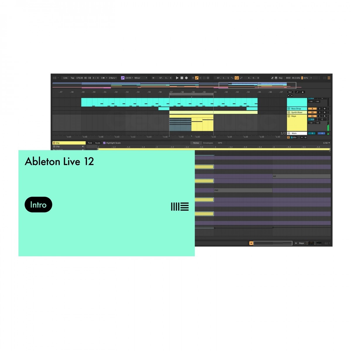 Ableton Live 12 Intro Serial Key (Download)