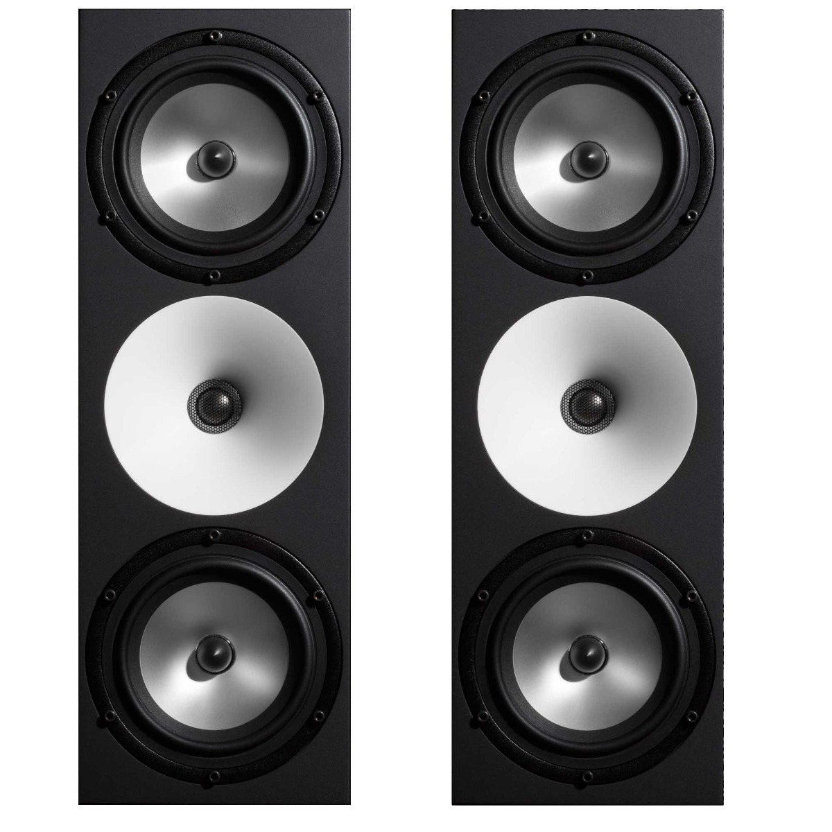 Amphion Two18 Pair (B-Ware)